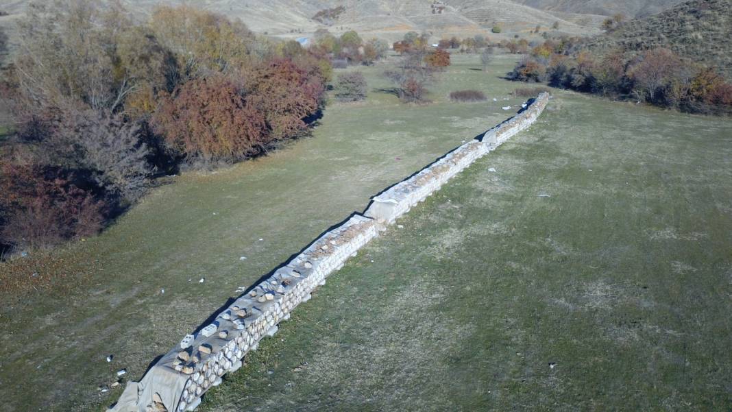 Avrupa'da birinci oldu. Bu yıl 800 ton hasat bekleniyor 5